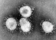 ご家族の皆様へ：当院のコロナウイルス対策について（１）