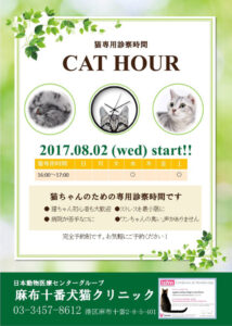 猫ちゃんのための専用診察時間が始まります